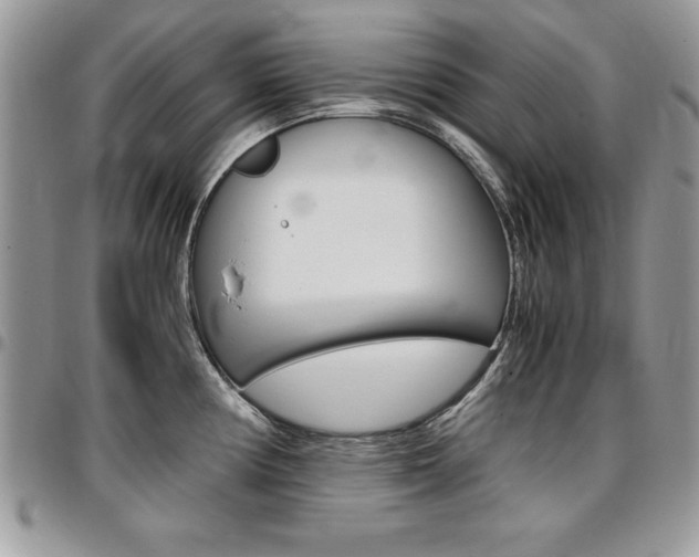 X0000096961194200802080853