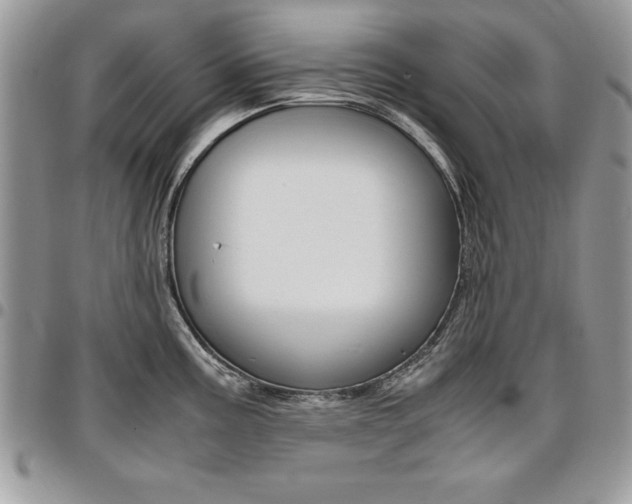 X0000096961195200802080853