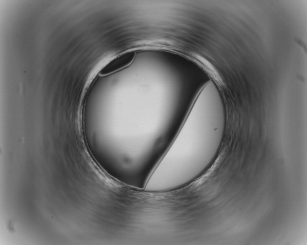 X0000096961196200802080853