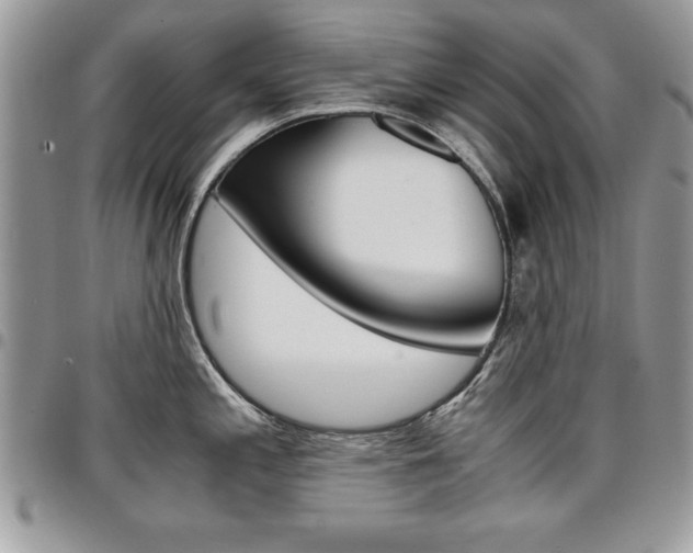 X0000096961197200802080853