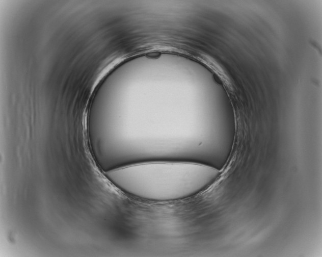 X0000096961198200802080853