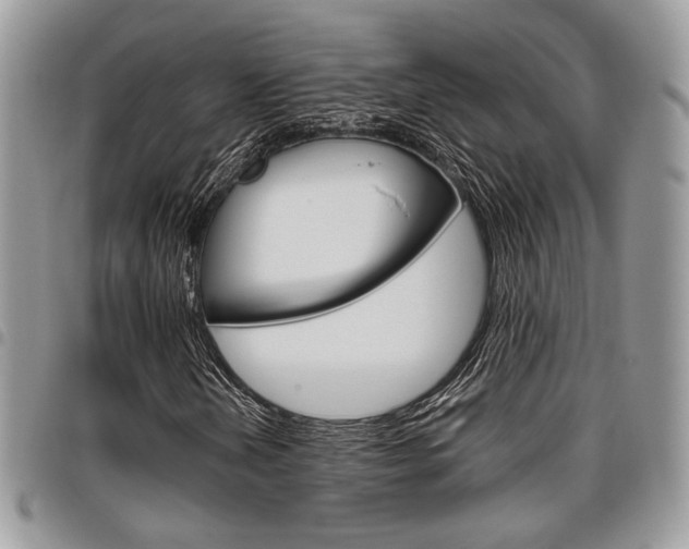 X0000096961202200802080852