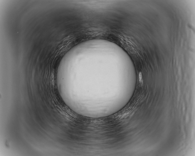 X0000096961203200802080852