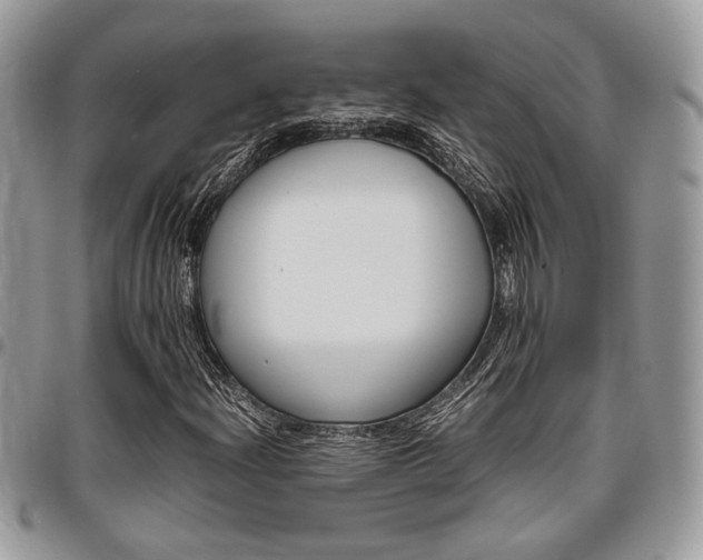 X0000096961204200802080852