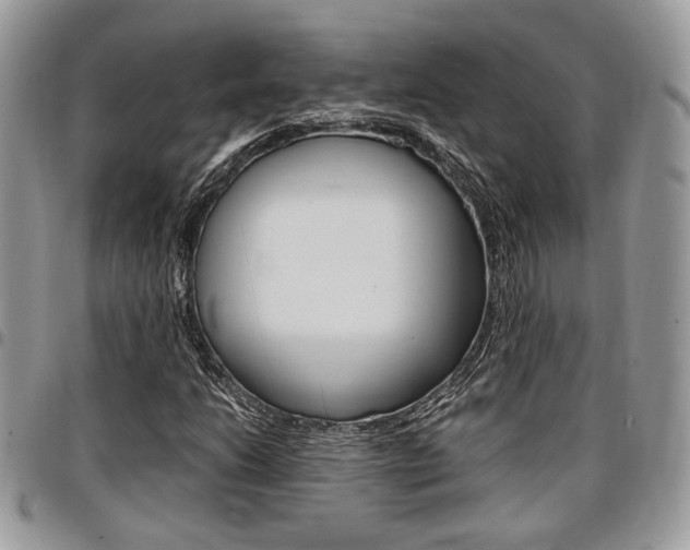 X0000096961206200802080852