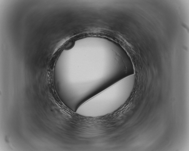 X0000096961208200802080852