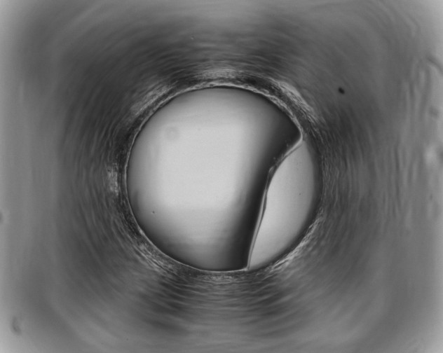 X0000096961209200802080852