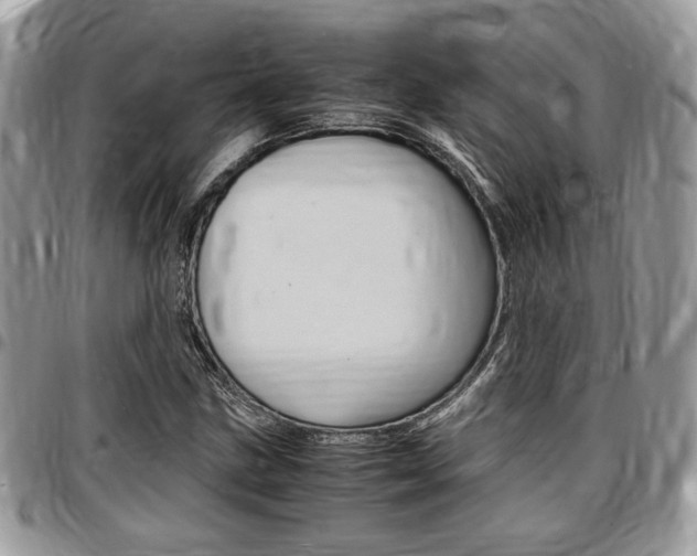 X0000096961211200802080852