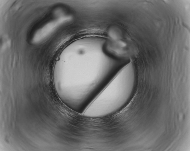 X0000096961213200802080852