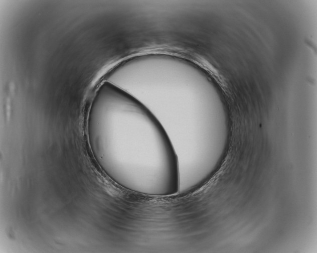 X0000096961216200802080852
