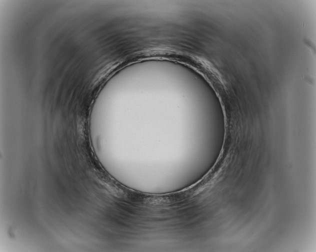 X0000096961217200802080852