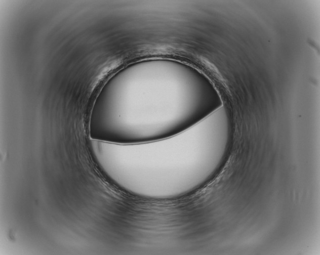 X0000096961218200802080852