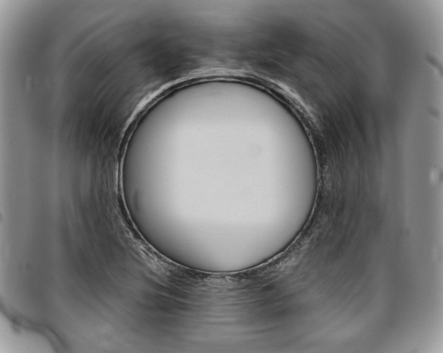 X0000096961220200802080852
