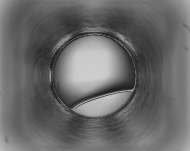 X0000096961221200802080852