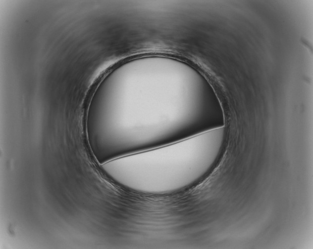 X0000096961222200802080852