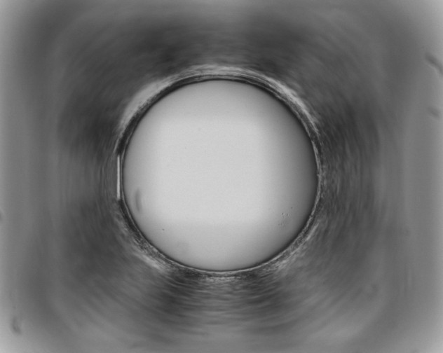 X0000096961223200802080852