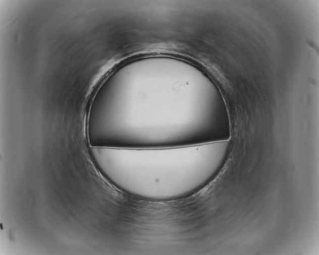 X0000096961224200802080852