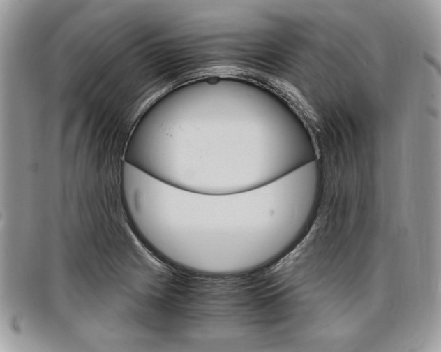 X0000096961225200802080852