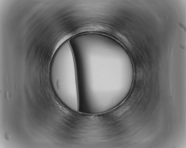 X0000096961226200802080852