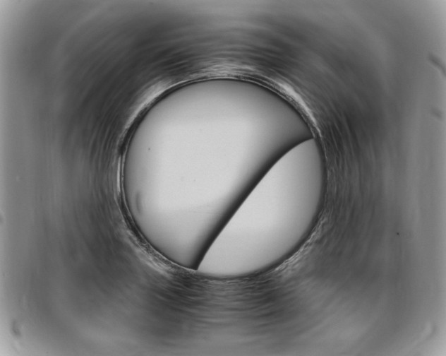 X0000096961227200802080852