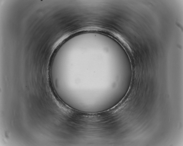 X0000096961229200802080852