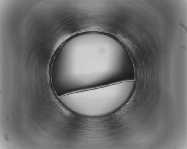 X0000096961230200802080852