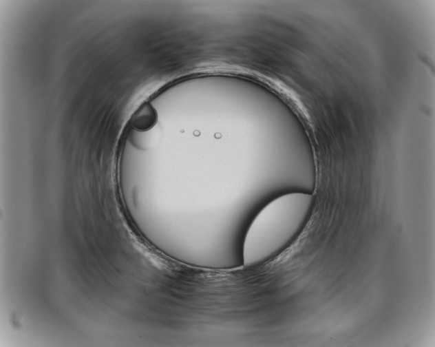 X0000096961231200802080852