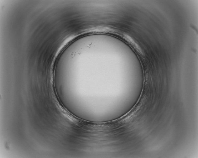 X0000096961232200802080852