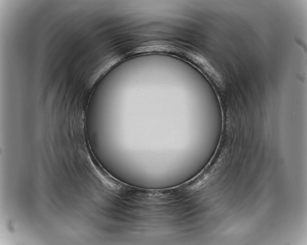 X0000096961233200802080852
