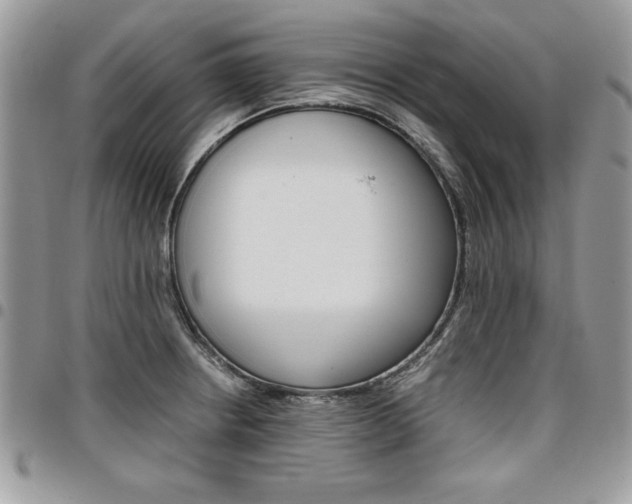 X0000096961234200802080852