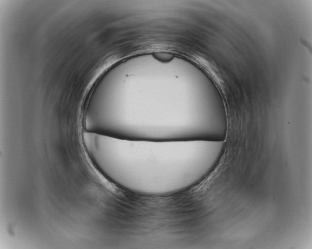 X0000096961235200802080852