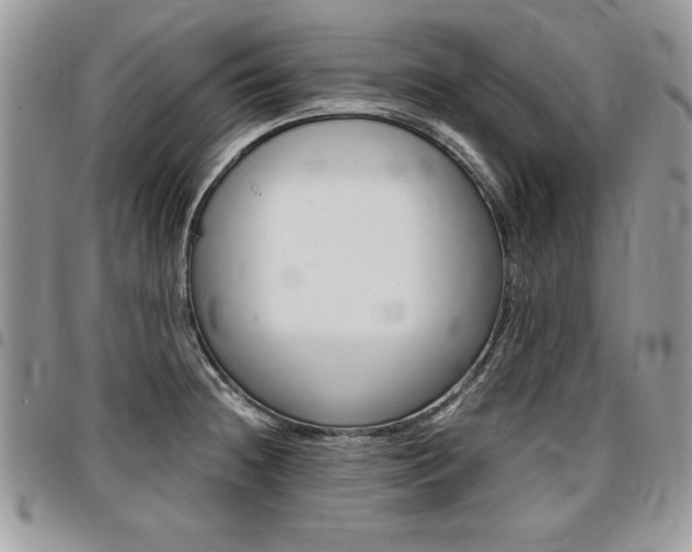 X0000096961236200802080852