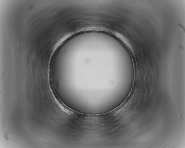 X0000096961237200802080852