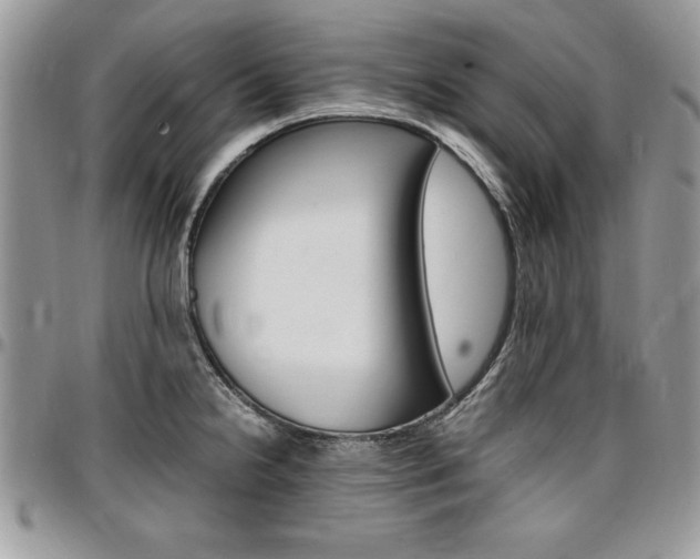 X0000096961238200802080852