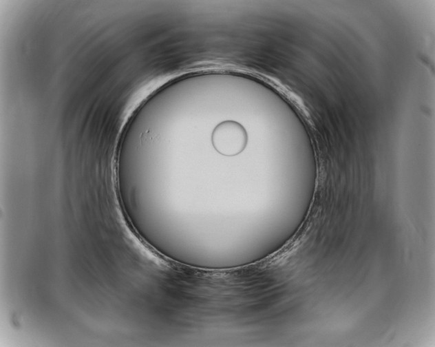 X0000096961239200802080852