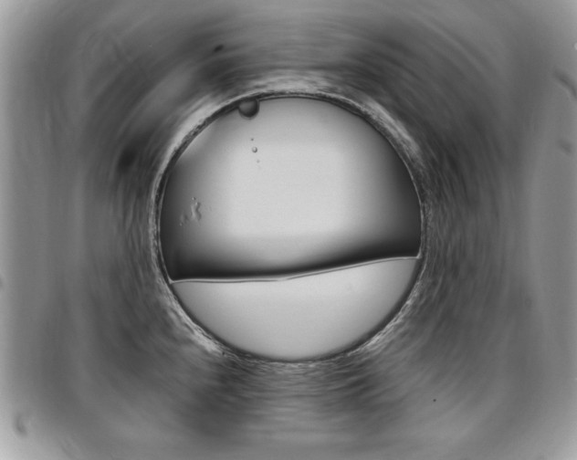 X0000096961240200802080852