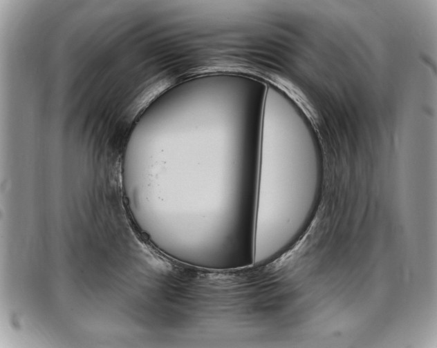 X0000096961241200802080853