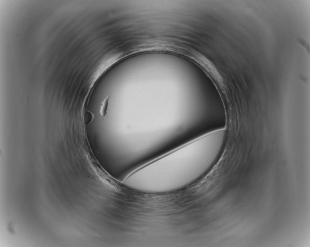 X0000096961242200802080853