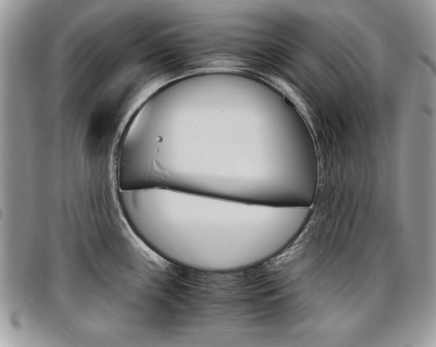 X0000096961243200802080853