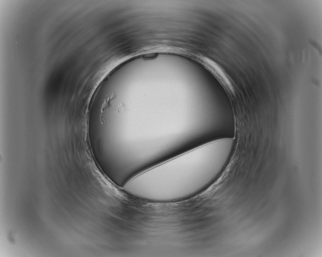 X0000096961244200802080853