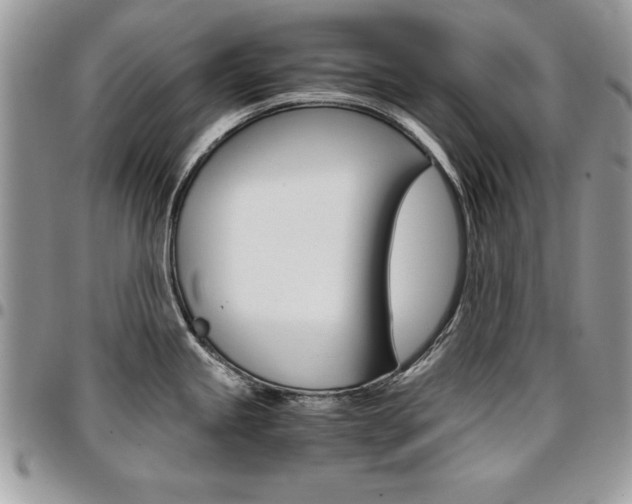 X0000096961245200802080853