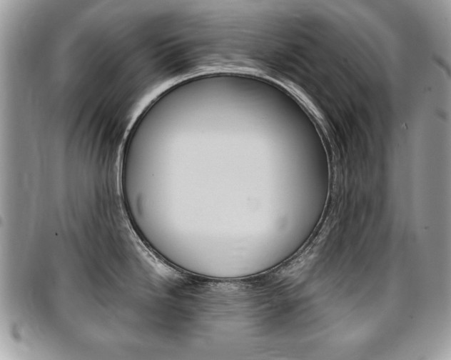 X0000096961246200802080853