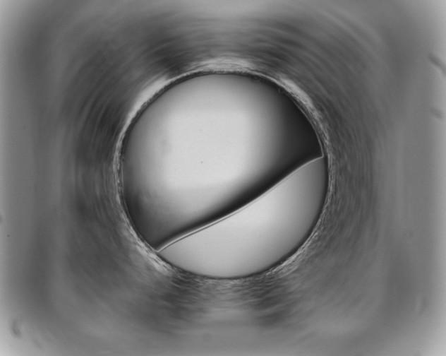 X0000096961248200802080853