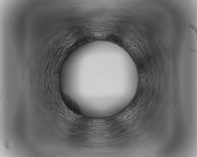 X0000096961249200802080852