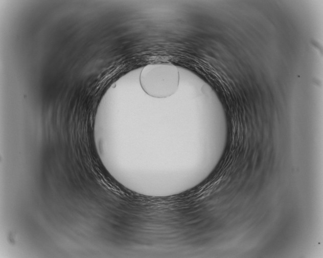 X0000096961250200802080852
