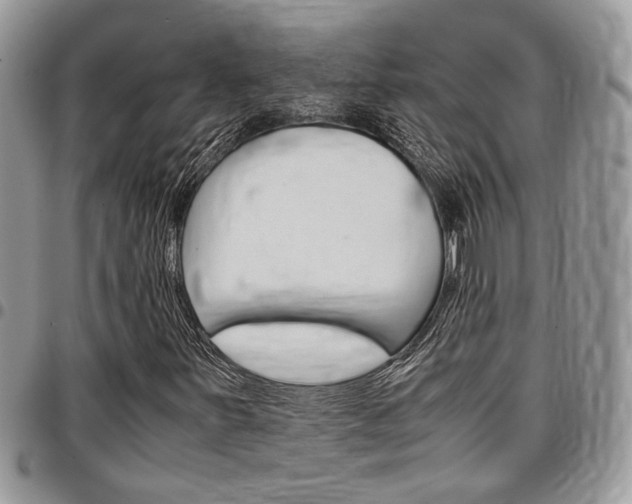 X0000096961251200802080852