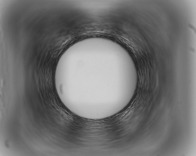 X0000096961252200802080852