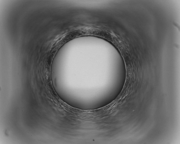 X0000096961253200802080852