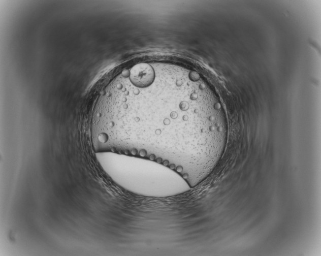 X0000096961255200802080852