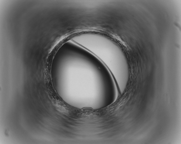 X0000096961256200802080852